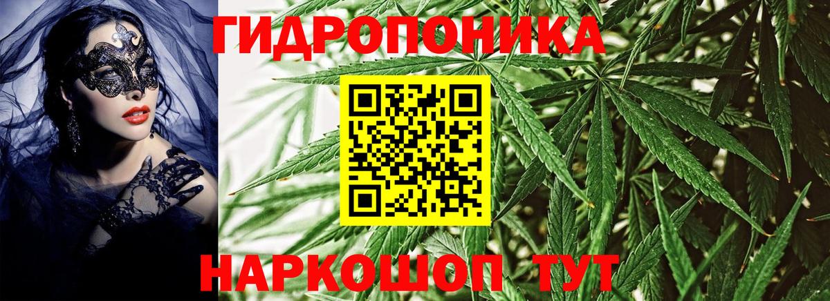Марихуана сатива Бугуруслан
